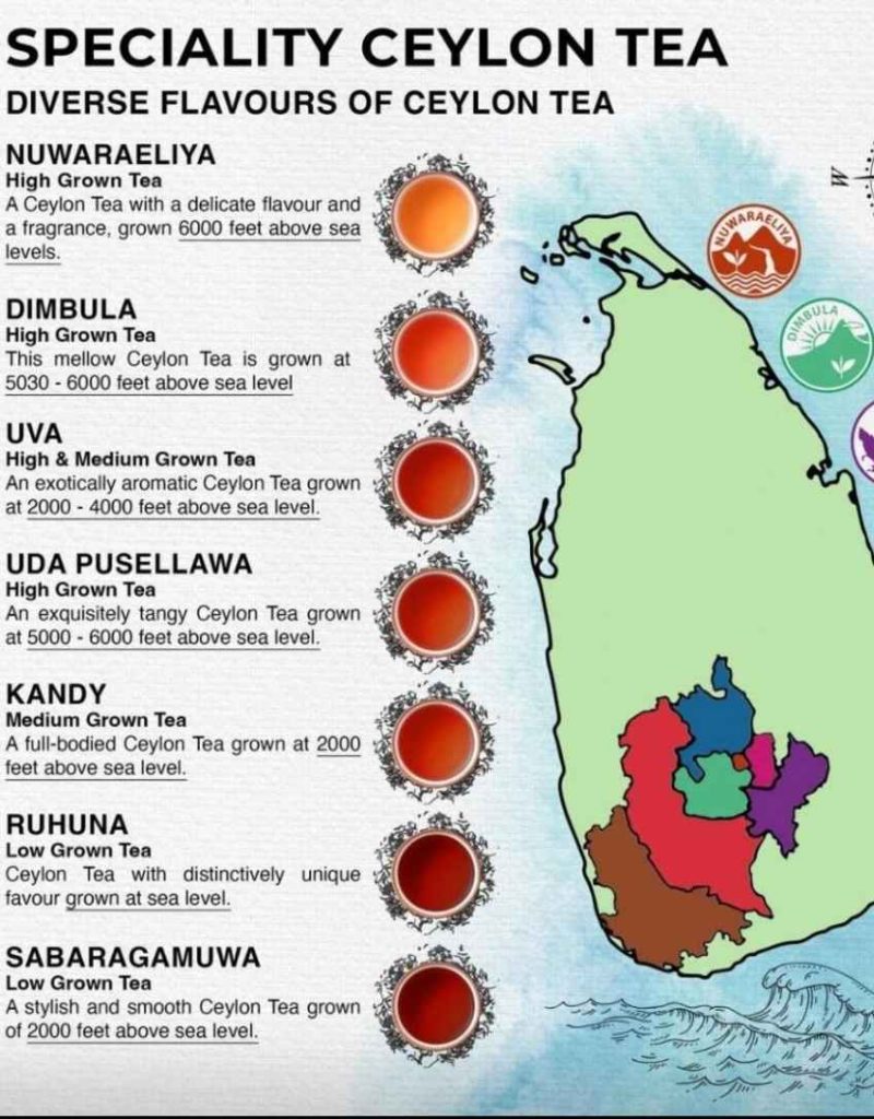 sri lanka Tea Farms